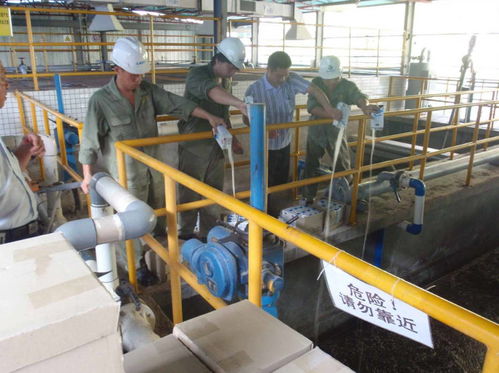 湘潭新手考證指南 固體廢物處理工證考試流程、體檢要求及污染治理工作解讀